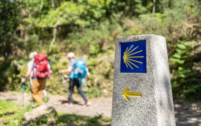Taxi para el Camino de Santiago: traslados cómodos y a medida